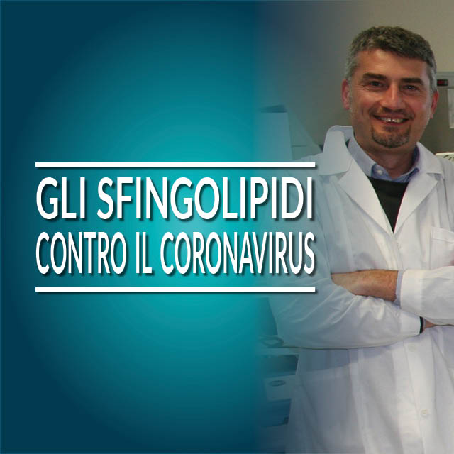 Sfingolipidi