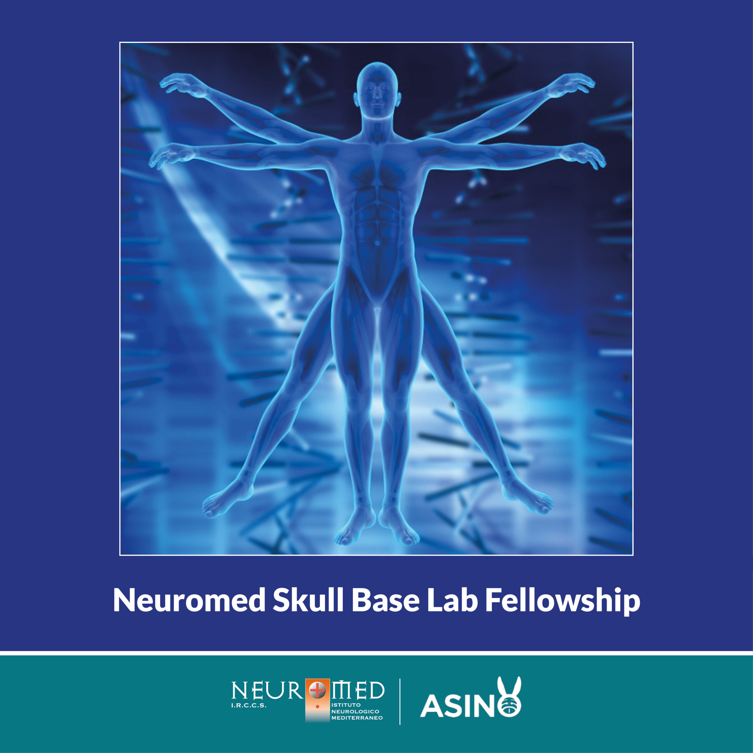 Neuromed Skull Base Lab Fellowship Istituto Neuromed